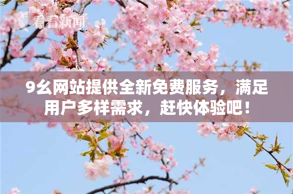 9幺网站提供全新免费服务，满足用户多样需求，赶快体验吧！