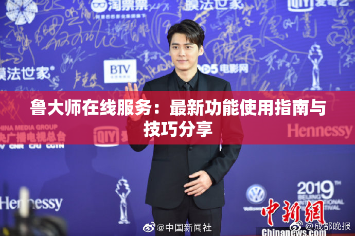 鲁大师在线服务：最新功能使用指南与技巧分享
