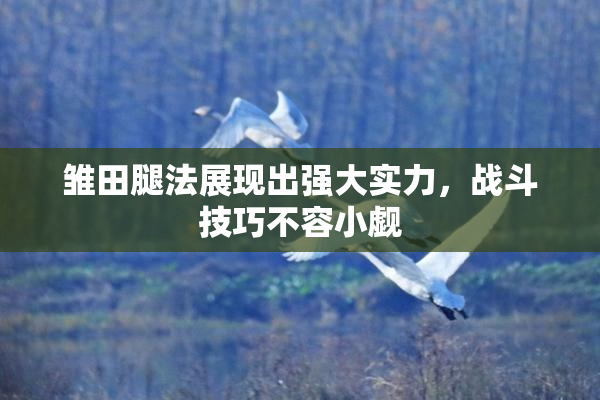 雏田腿法展现出强大实力，战斗技巧不容小觑