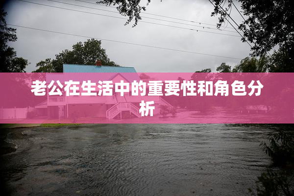 老公在生活中的重要性和角色分析