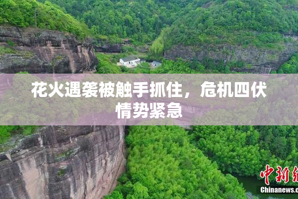 花火遇袭被触手抓住，危机四伏情势紧急