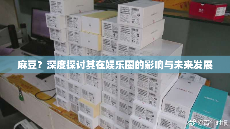 麻豆？深度探讨其在娱乐圈的影响与未来发展
