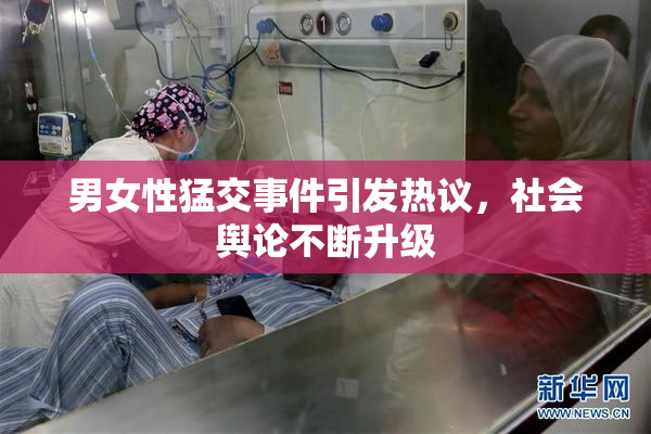 男女性猛交事件引发热议，社会舆论不断升级