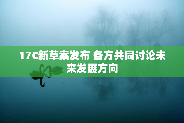 17C新草案发布 各方共同讨论未来发展方向