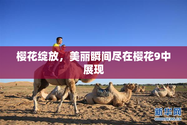 樱花绽放，美丽瞬间尽在樱花9中展现