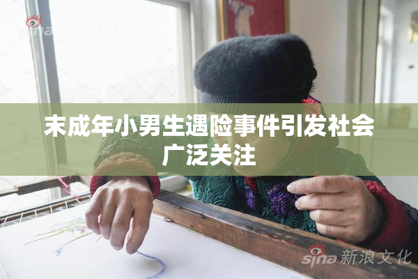 末成年小男生遇险事件引发社会广泛关注