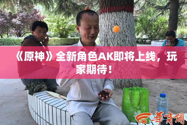 《原神》全新角色AK即将上线，玩家期待！