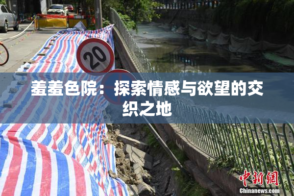 羞羞色院：探索情感与欲望的交织之地