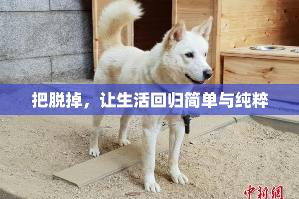 把脱掉，让生活回归简单与纯粹