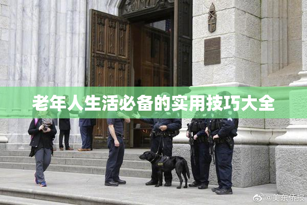 老年人生活必备的实用技巧大全