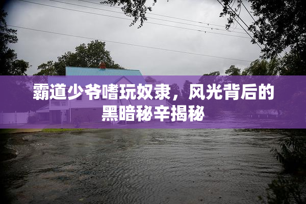霸道少爷嗜玩奴隶，风光背后的黑暗秘辛揭秘
