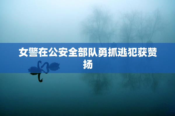 女警在公安全部队勇抓逃犯获赞扬
