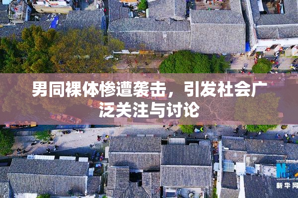 男同裸体惨遭袭击，引发社会广泛关注与讨论