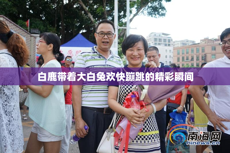 白鹿带着大白兔欢快蹦跳的精彩瞬间
