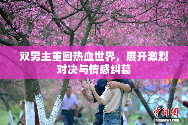 双男主重回热血世界，展开激烈对决与情感纠葛