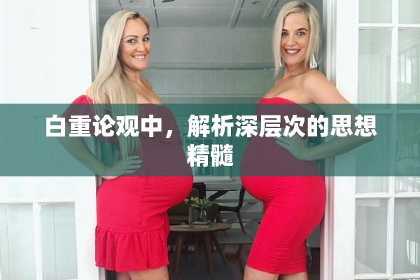 白重论观中，解析深层次的思想精髓