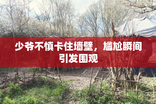 少爷不慎卡住墙壁，尴尬瞬间引发围观