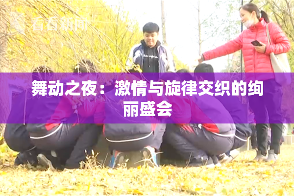 舞动之夜：激情与旋律交织的绚丽盛会
