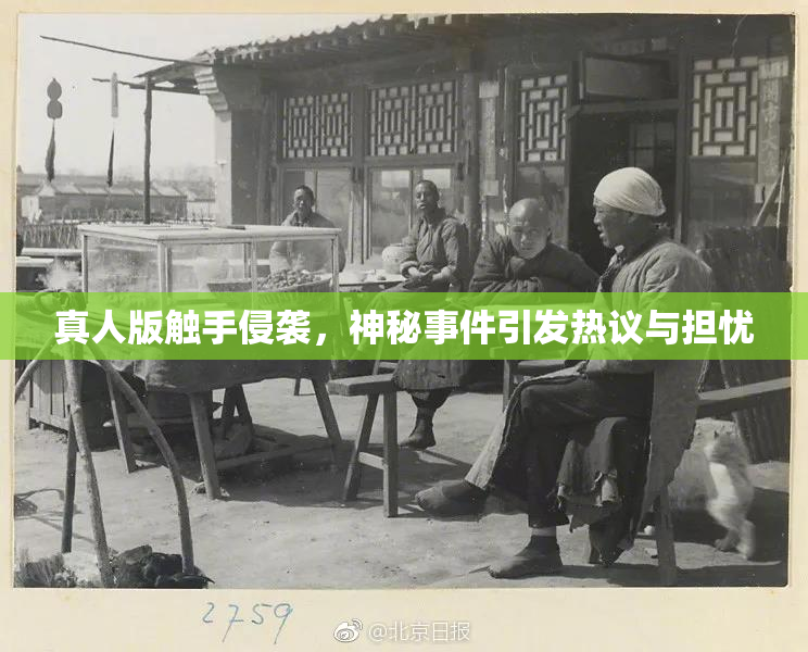 真人版触手侵袭，神秘事件引发热议与担忧