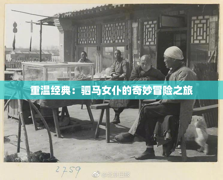 重温经典：驷马女仆的奇妙冒险之旅
