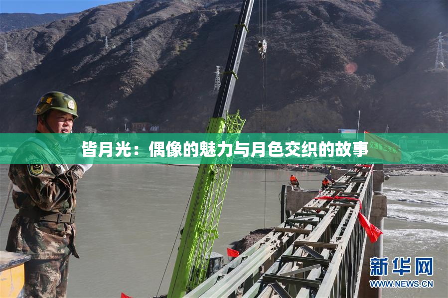 皆月光：偶像的魅力与月色交织的故事