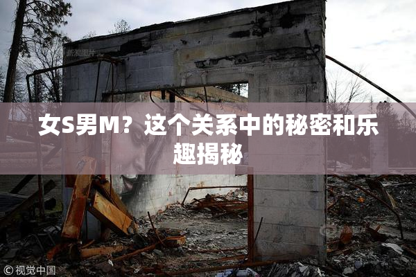 女S男M？这个关系中的秘密和乐趣揭秘