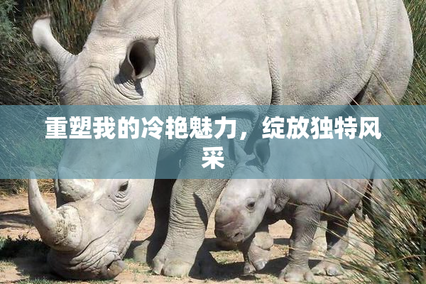 重塑我的冷艳魅力，绽放独特风采