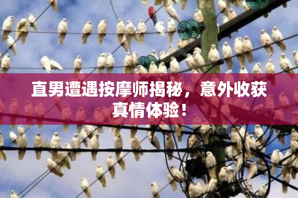 直男遭遇按摩师揭秘，意外收获真情体验！
