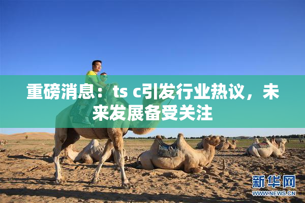 重磅消息：ts c引发行业热议，未来发展备受关注