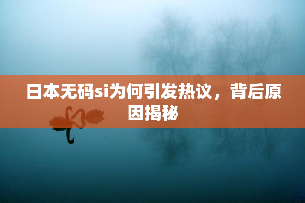 日本无码si为何引发热议，背后原因揭秘