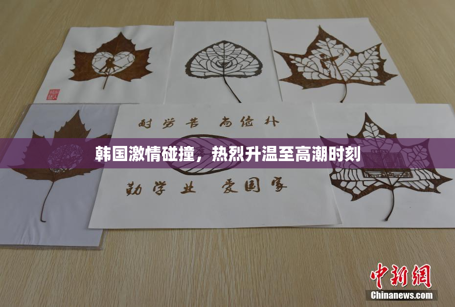 韩国激情碰撞，热烈升温至高潮时刻