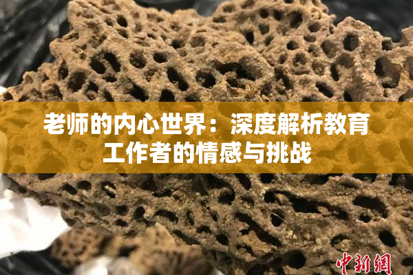 老师的内心世界：深度解析教育工作者的情感与挑战