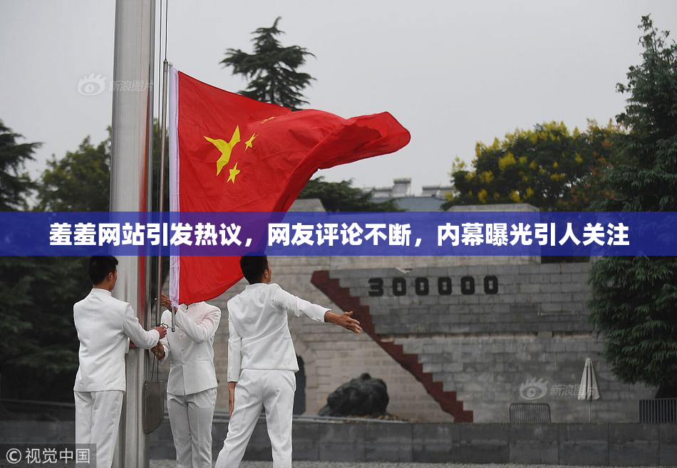 羞羞网站引发热议，网友评论不断，内幕曝光引人关注