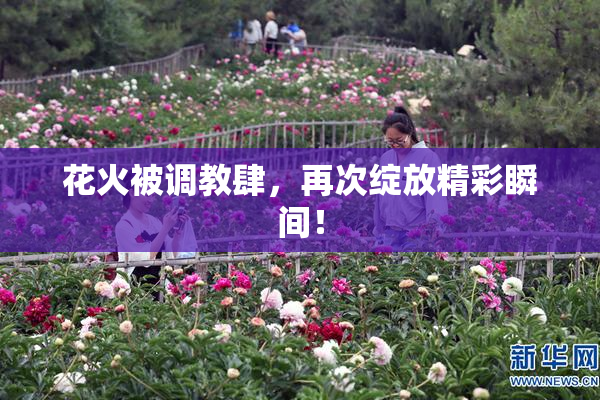 花火被调教肆，再次绽放精彩瞬间！