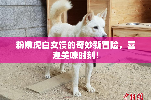 粉嫩虎白女馒的奇妙新冒险，喜迎美味时刻！