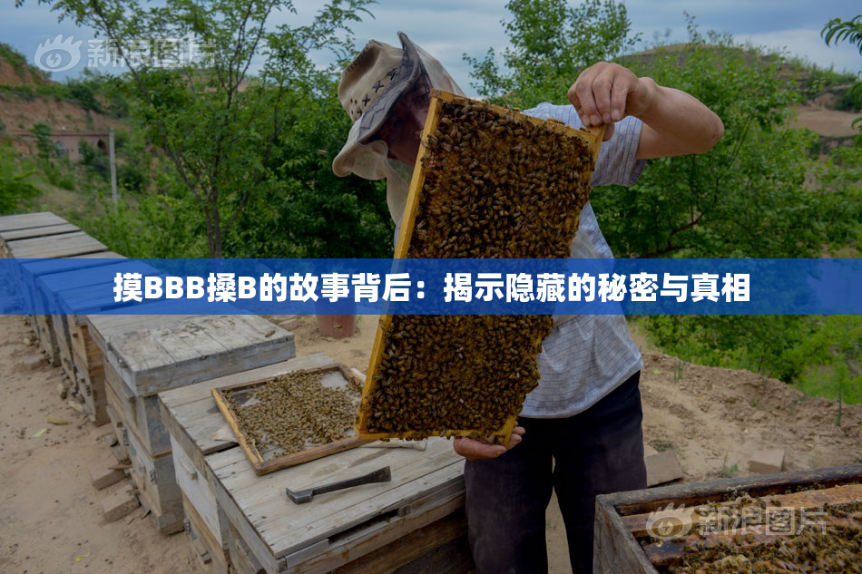 摸BBB搡B的故事背后：揭示隐藏的秘密与真相
