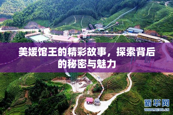 美媛馆王的精彩故事，探索背后的秘密与魅力