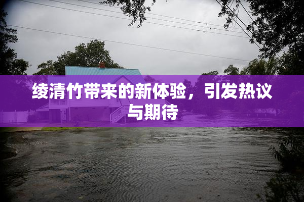 绫清竹带来的新体验，引发热议与期待