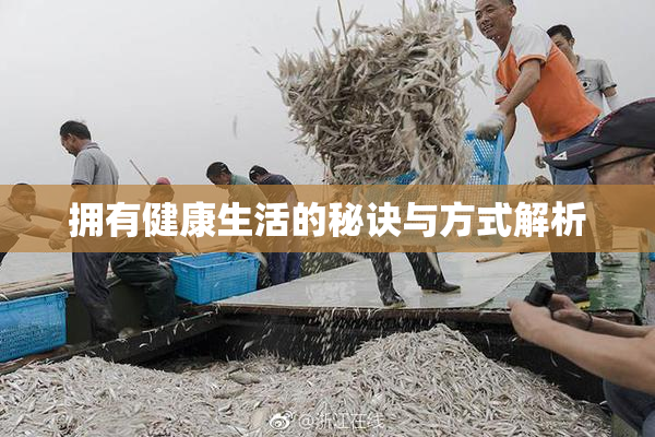 拥有健康生活的秘诀与方式解析