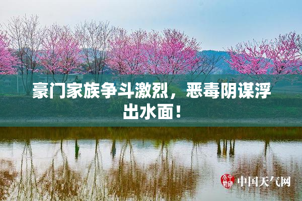豪门家族争斗激烈，恶毒阴谋浮出水面！