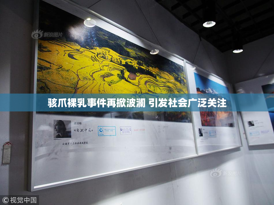 骇爪裸乳事件再掀波澜 引发社会广泛关注