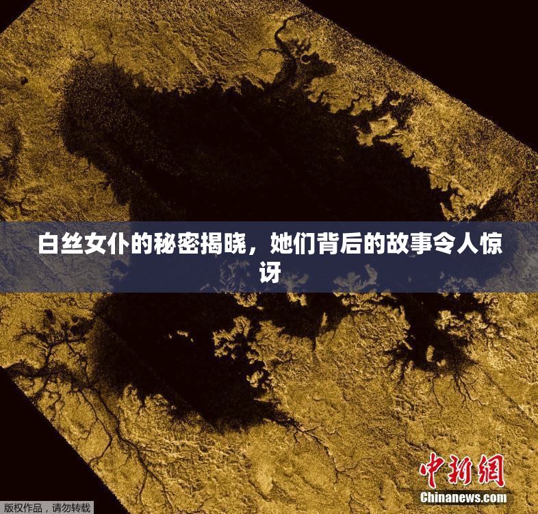 白丝女仆的秘密揭晓，她们背后的故事令人惊讶