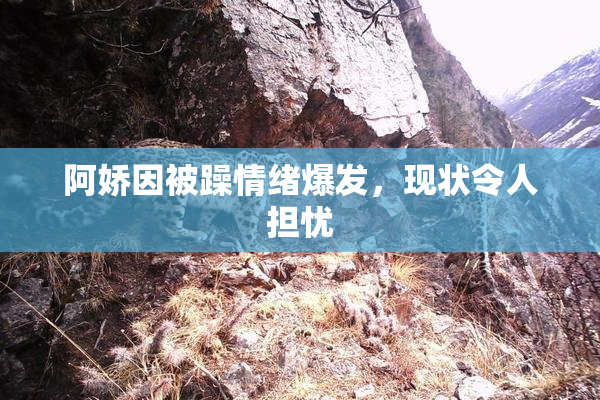 阿娇因被躁情绪爆发，现状令人担忧