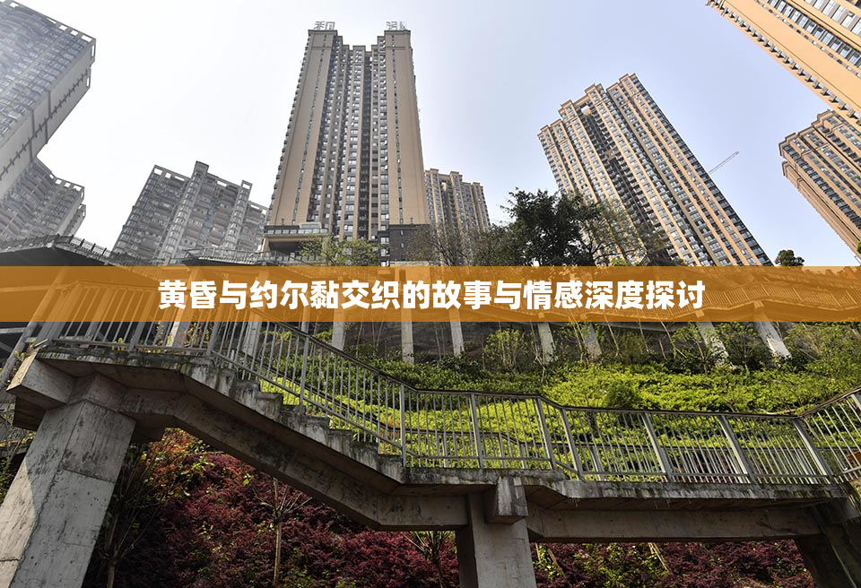 黄昏与约尔黏交织的故事与情感深度探讨