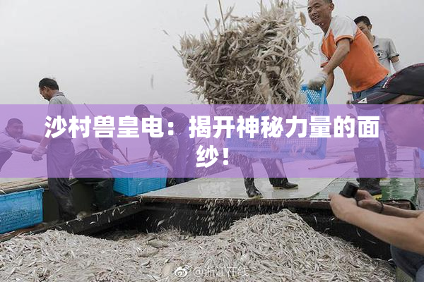 沙村兽皇电：揭开神秘力量的面纱！