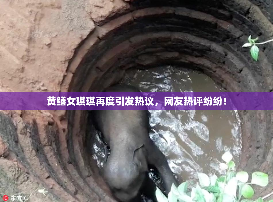 黄鳝女琪琪再度引发热议，网友热评纷纷！