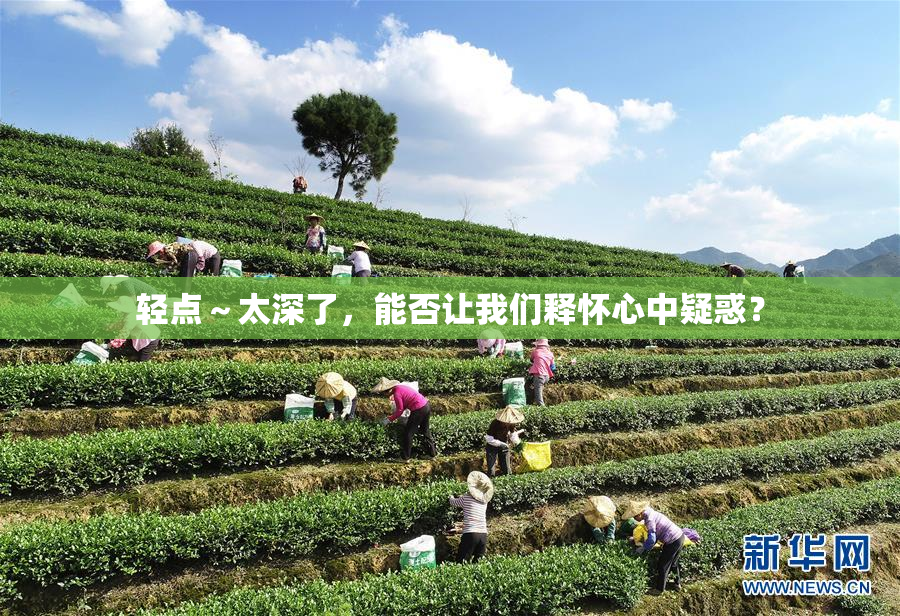 轻点～太深了，能否让我们释怀心中疑惑？