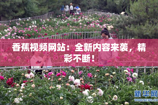 香蕉视频网站：全新内容来袭，精彩不断！