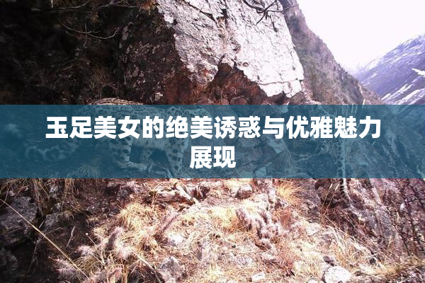玉足美女的绝美诱惑与优雅魅力展现