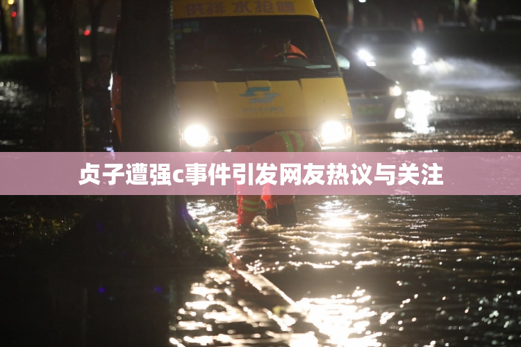 贞子遭强c事件引发网友热议与关注